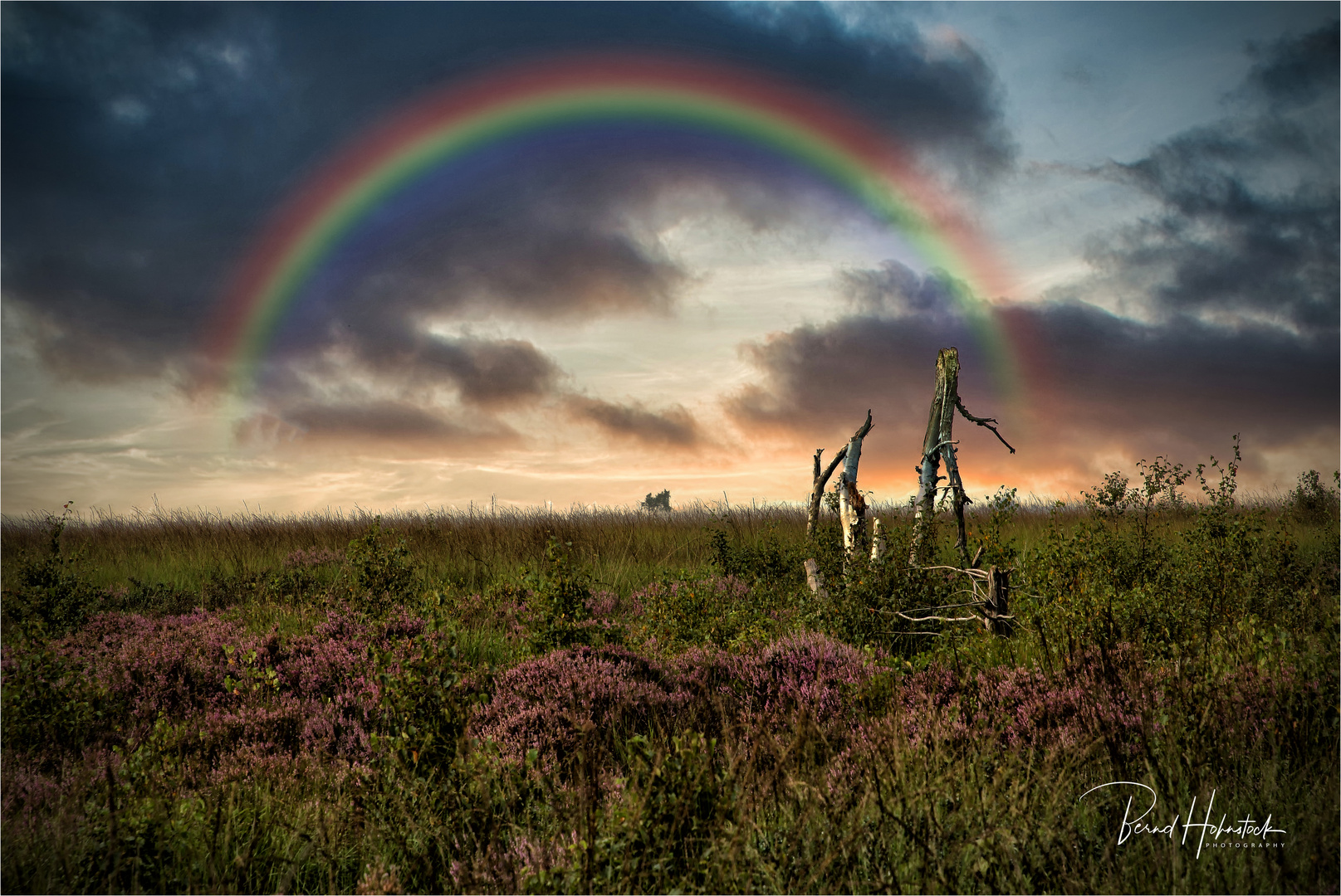 Hautes Fagnes... Foto & Bild wolken, baum, himmel Bilder auf