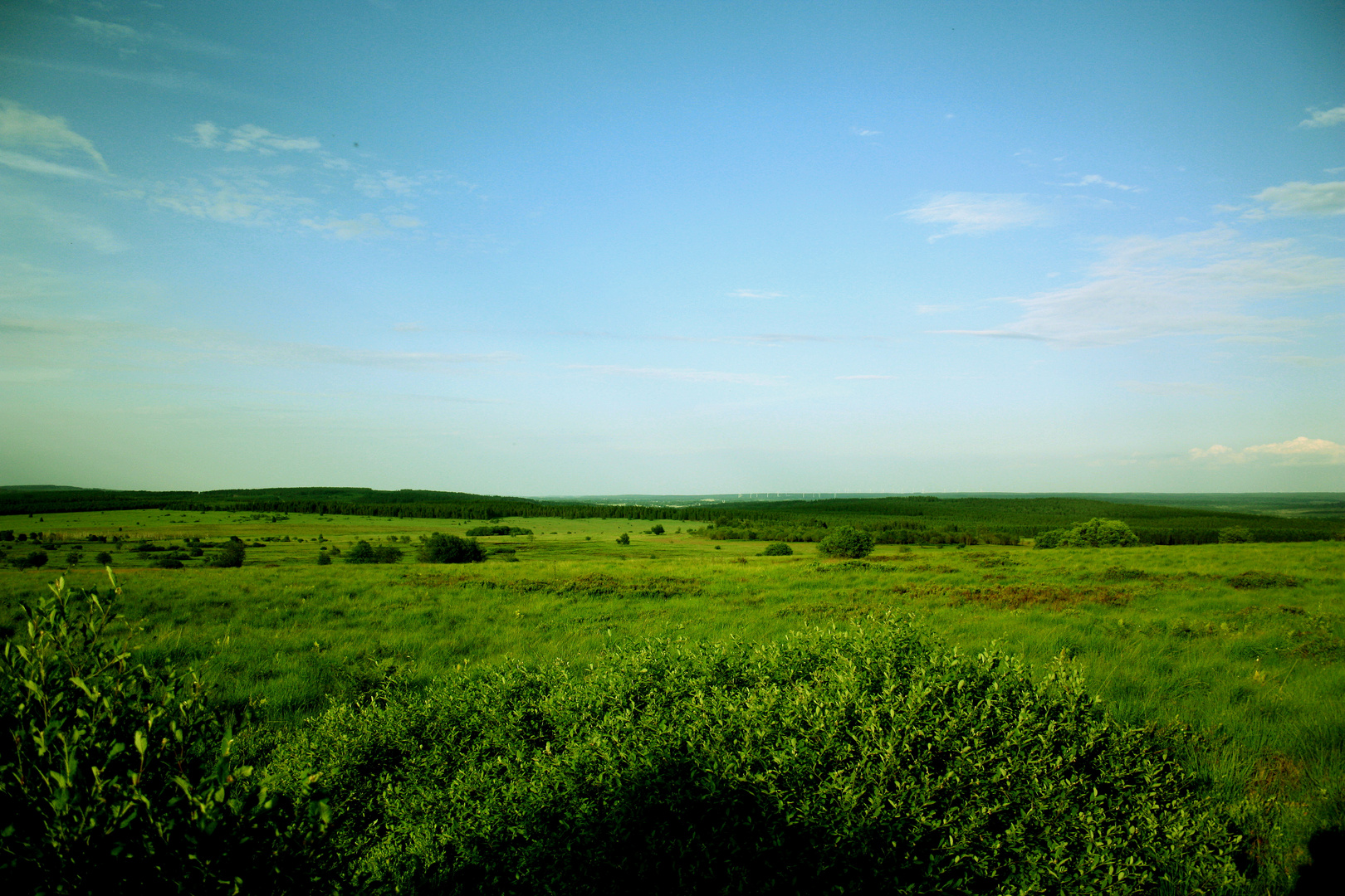 Hautes Fagnes