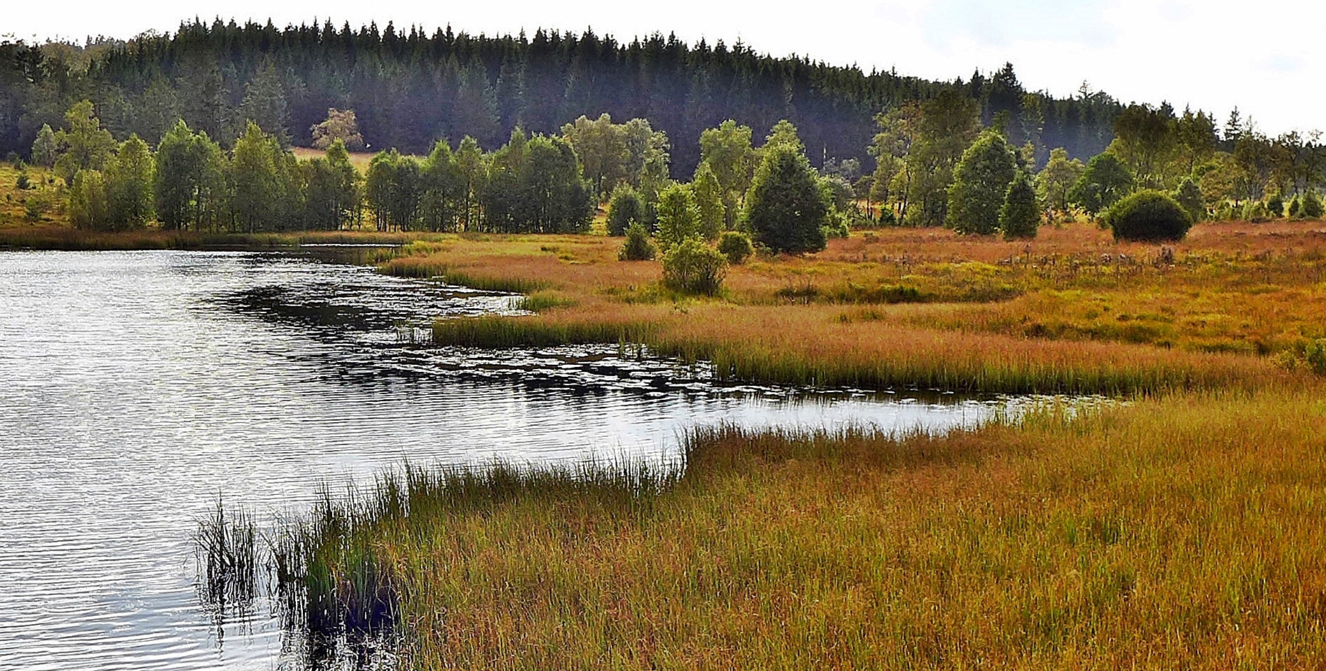 Hautes Fagnes-Eifel