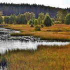 Hautes Fagnes-Eifel