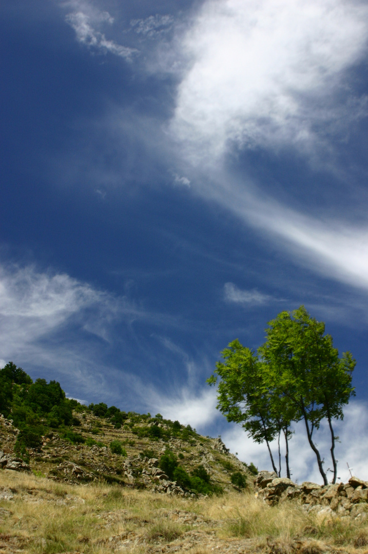 Hautes Pyrénées