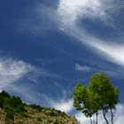 Hautes Pyrénées