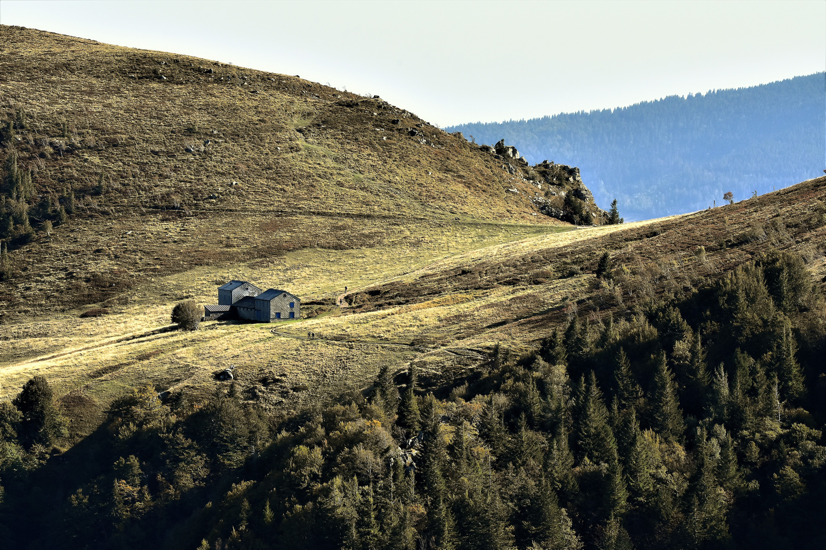 Hautes vosges