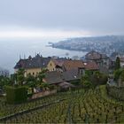 Hauteurs de Montreux