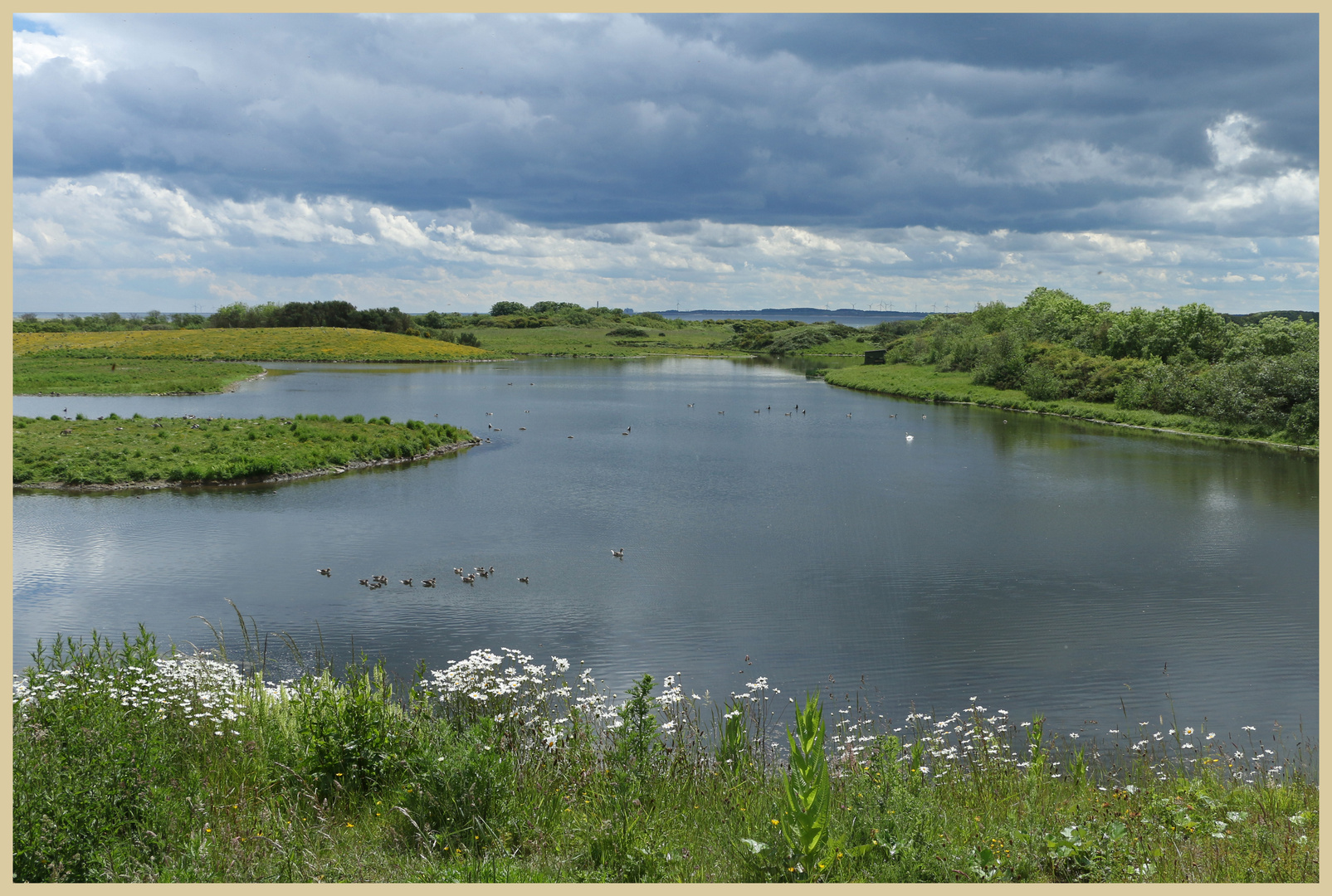 hauxley nature reserve 