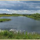 hauxley nature reserve 