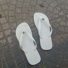 Havaianas