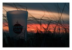 Havana Club