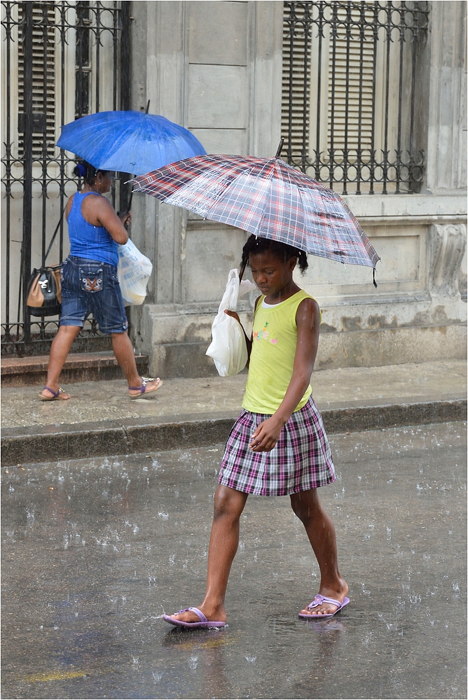 Havana Rain 7