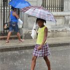 Havana Rain 7