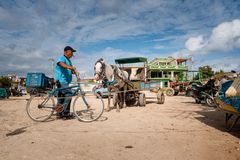 Havanna 2019 - Einkauf auf dem Markt