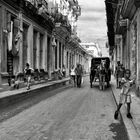 Havanna