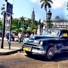 Havanna classico