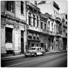 Havanna N°34