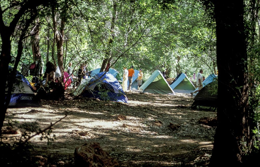 Havasu Campground