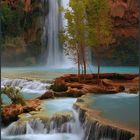 *Havasu Falls*