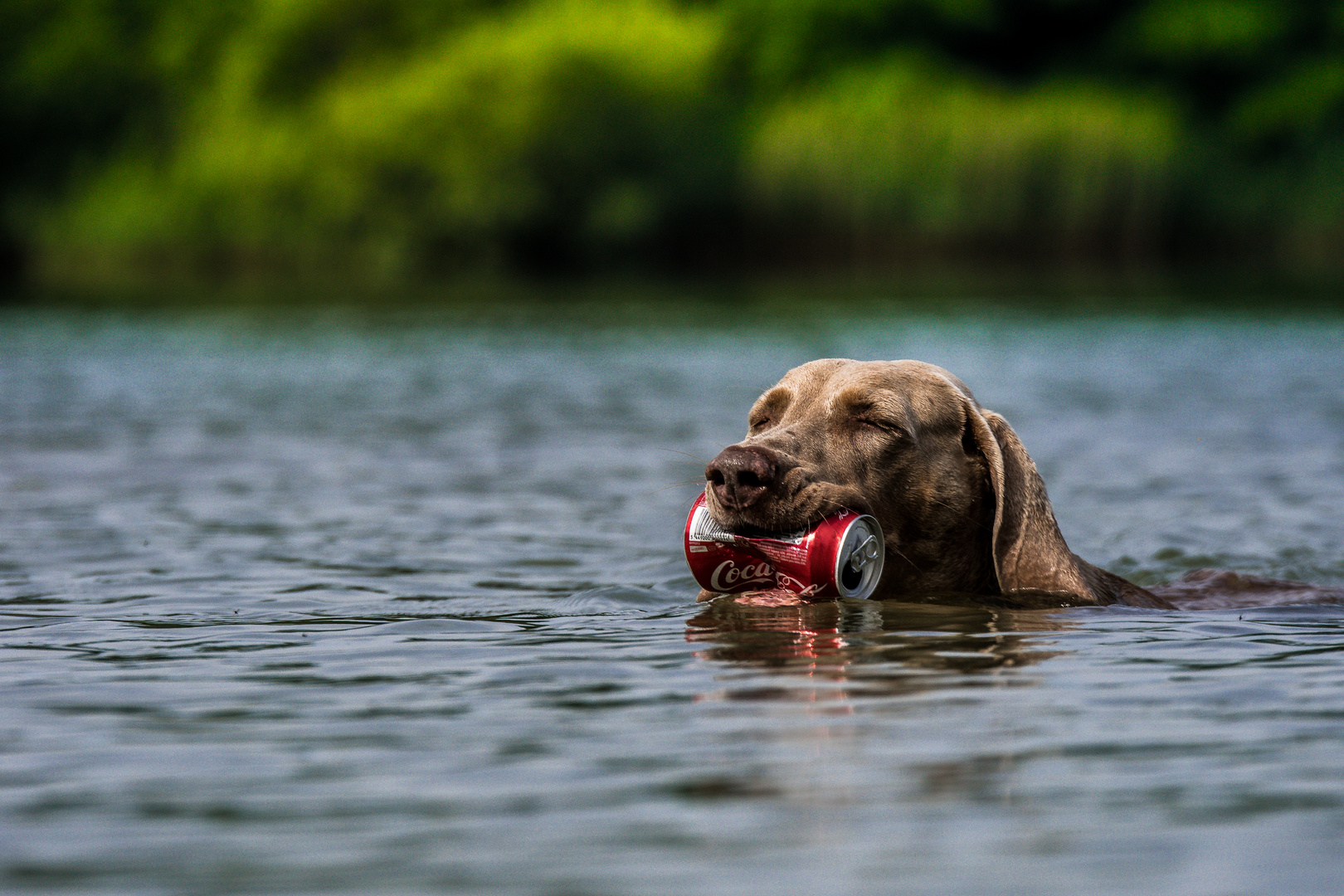 Have a Coke