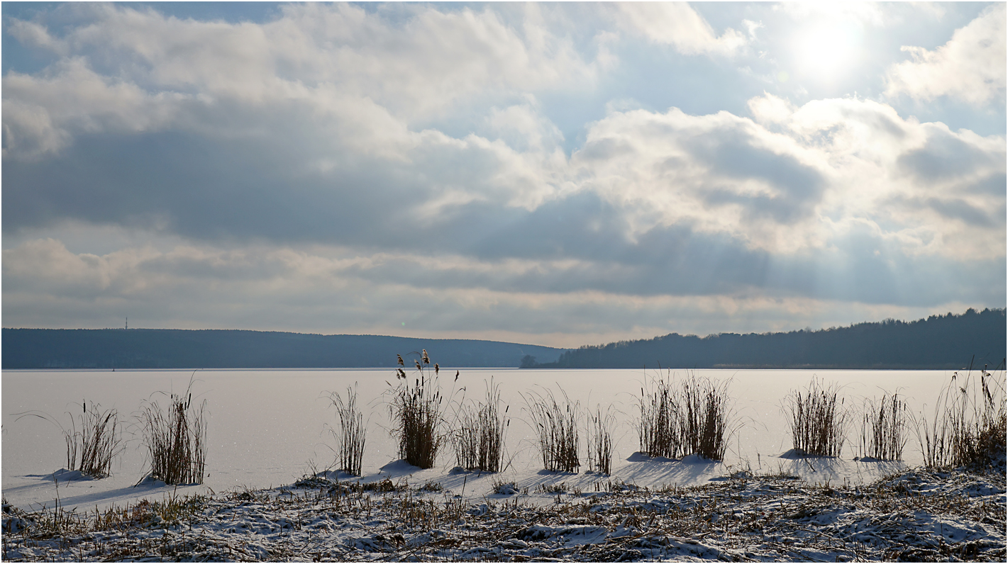 Havel bei Petzow 02