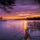 Havel Blick zur Pfaueninsel