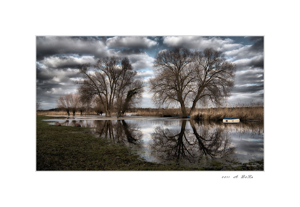 Havel im Überfluß