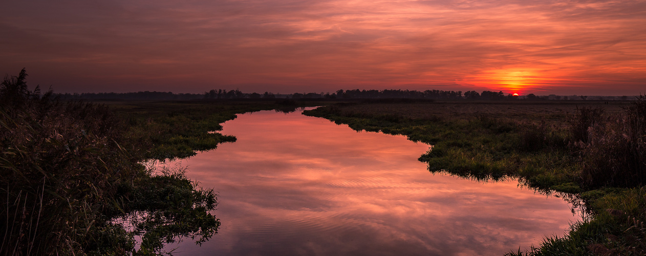 Havel in rot