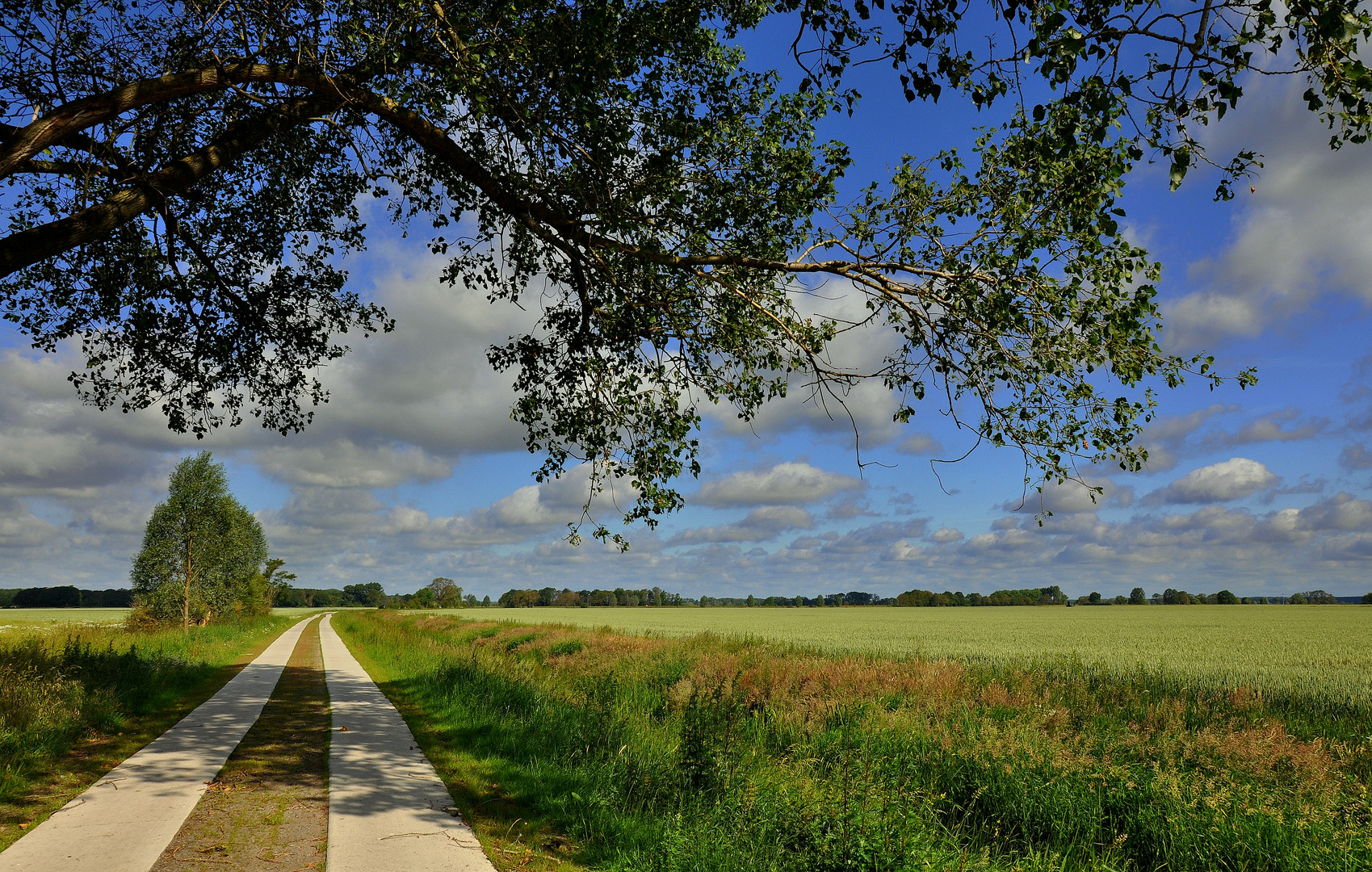 Havel-Radweg