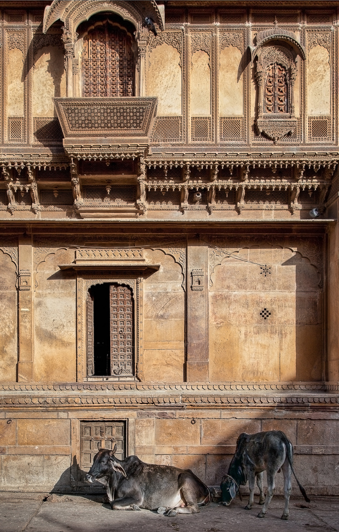 Haveli Siesta ~ Jaisalmer, India