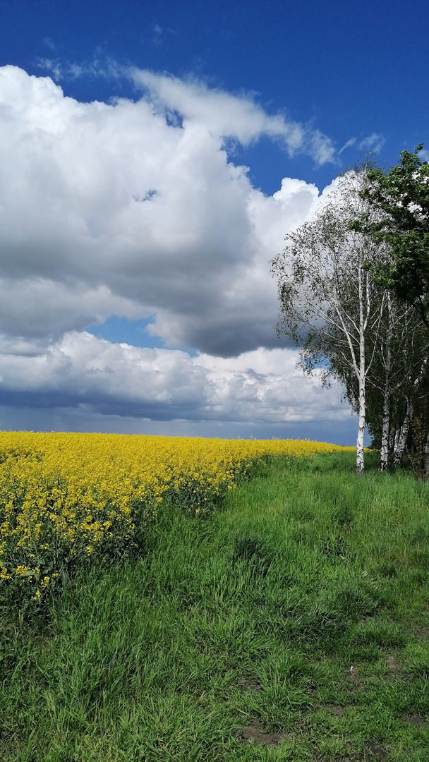 Havelland im Frühling