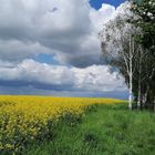 Havelland im Frühling