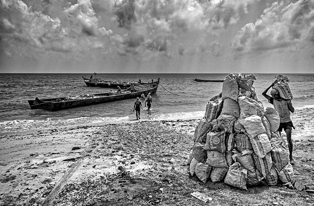 Havelock Island I