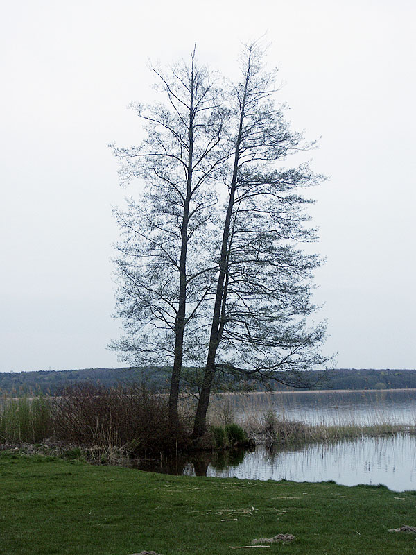 Havelsee im Landkreis Potsdam-Mittelmark