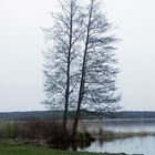 Havelsee im Landkreis Potsdam-Mittelmark