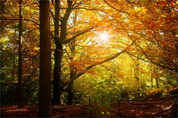 Haven’t Lost My Sense Of Wonder