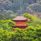 Having a glimpse on a japanese pagode