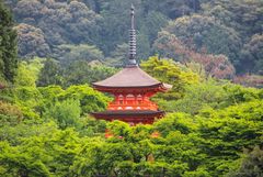 Having a glimpse on a japanese pagode