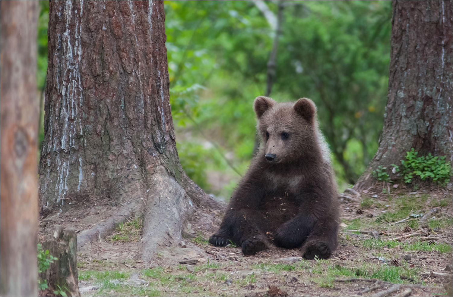 Having a little rest....