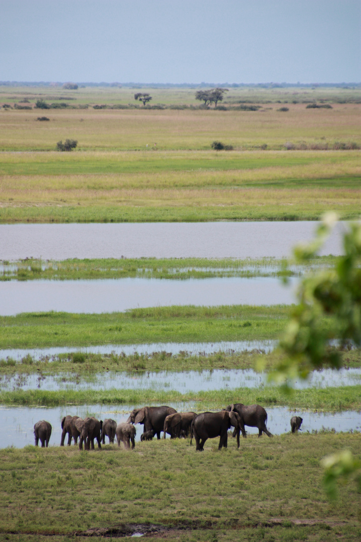 having a nice view from chobe nationalpark