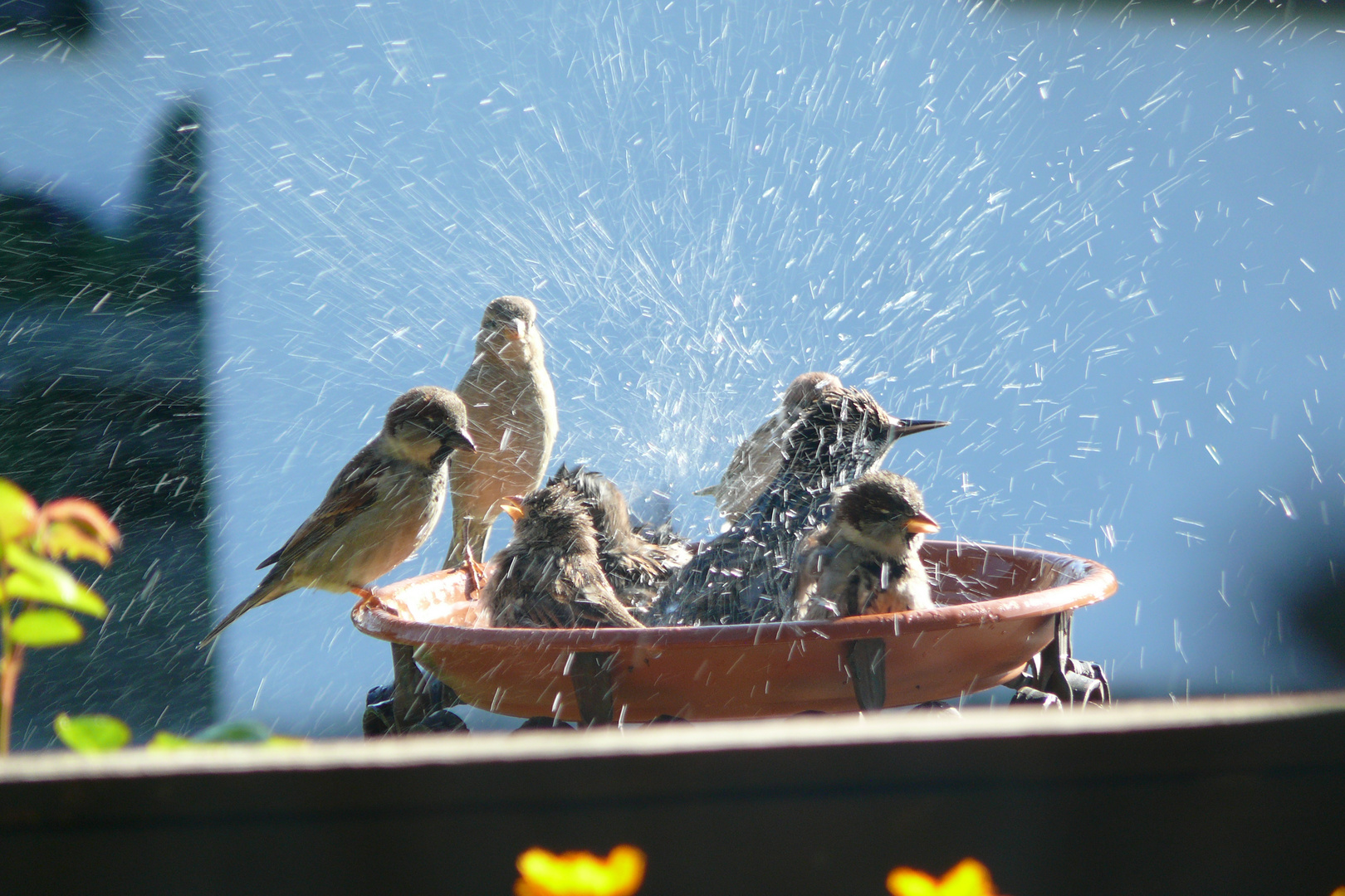 Having a shower