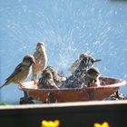 Having a shower