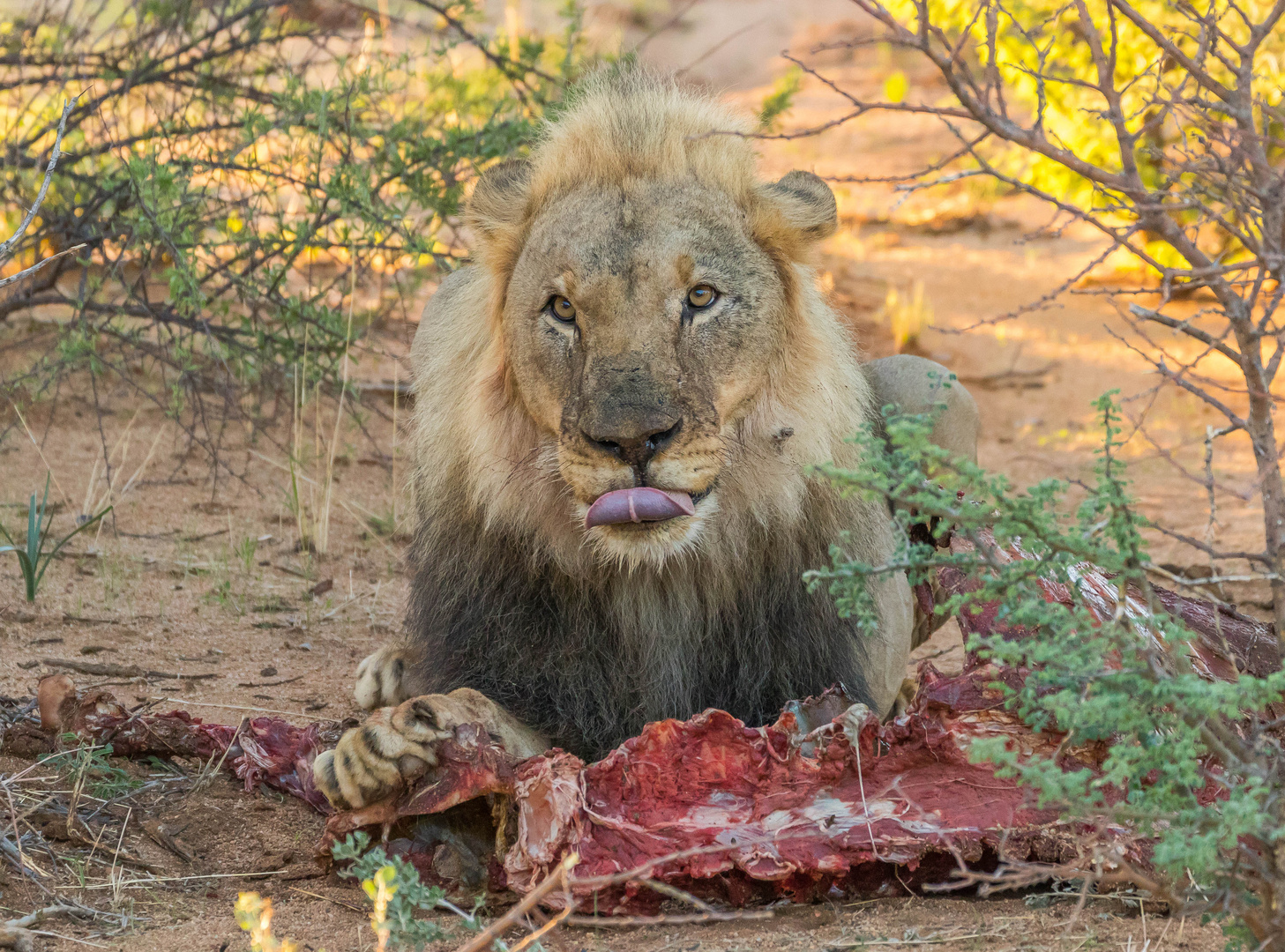 Having breakfast