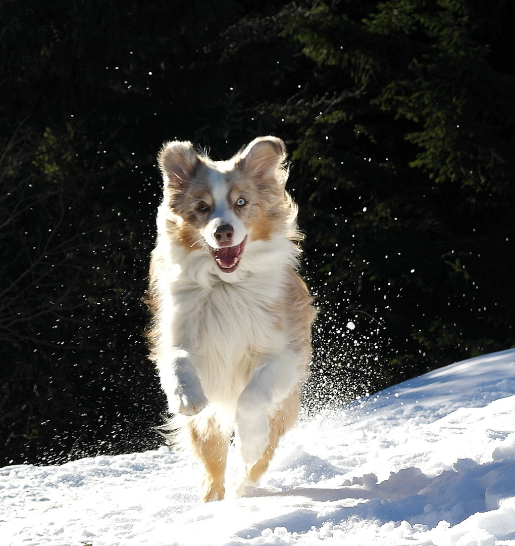 Having fun in the snow