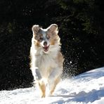 Having fun in the snow