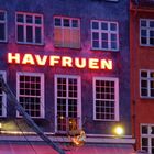 Havruen