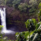 Hawai-Rainbow-Falls