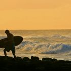 Hawaii Beach