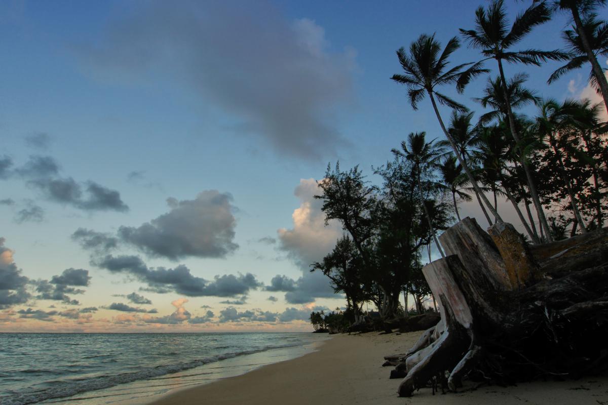 Hawaii Coast