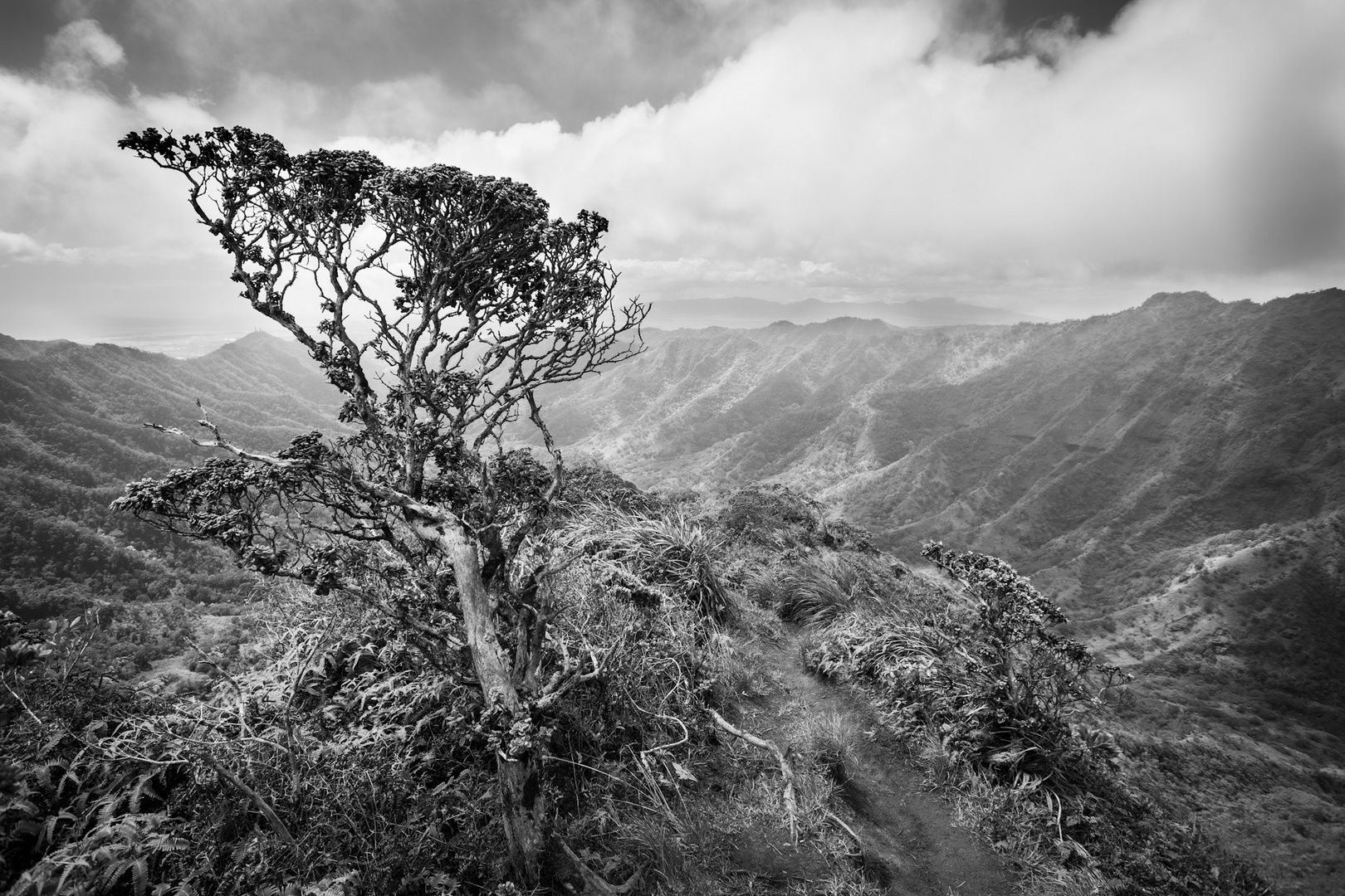 Hawai‘i I