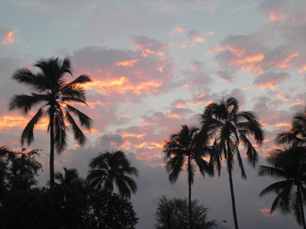 Hawaii in color