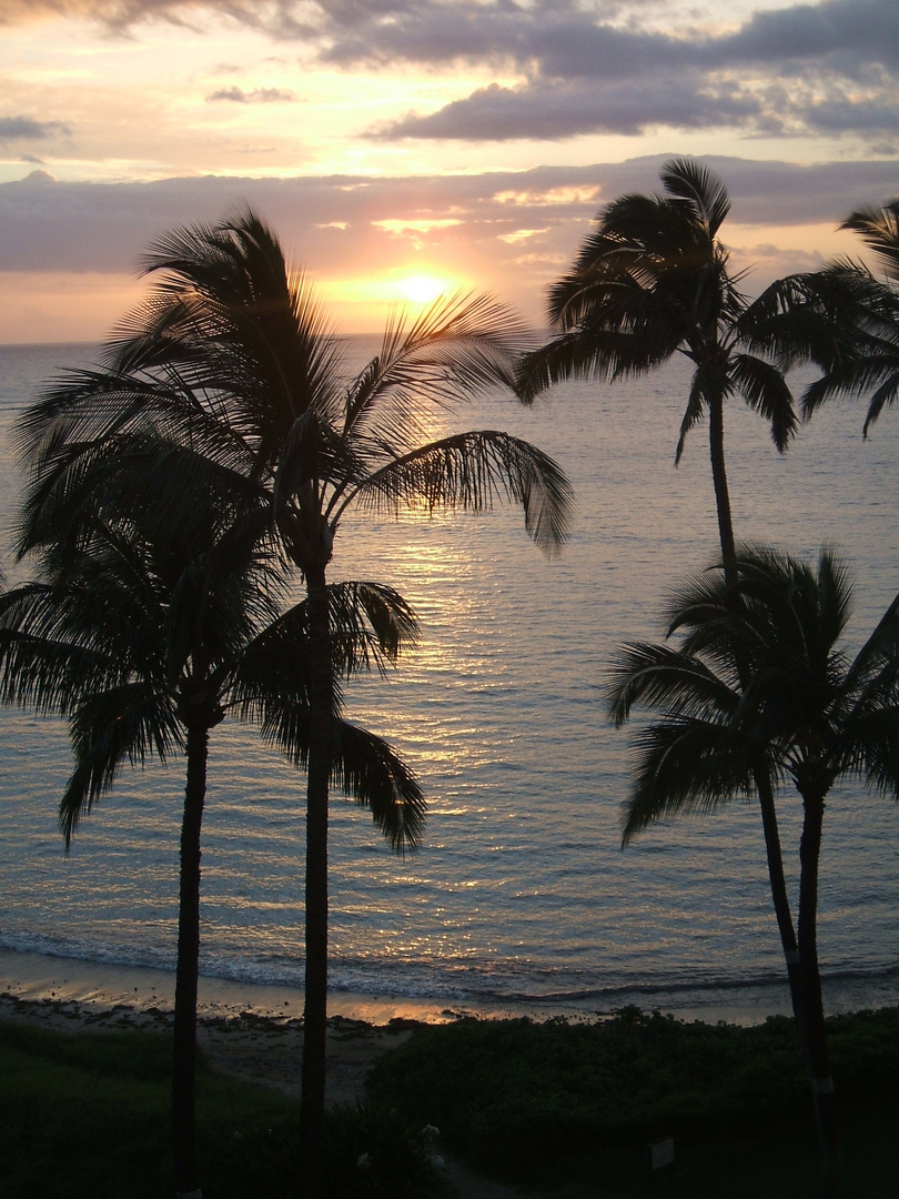 Hawaii -Maui