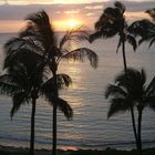 Hawaii -Maui
